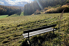 Eine Bank steht in einer sonnendurchfluteten Landschaft © HG Scharf
