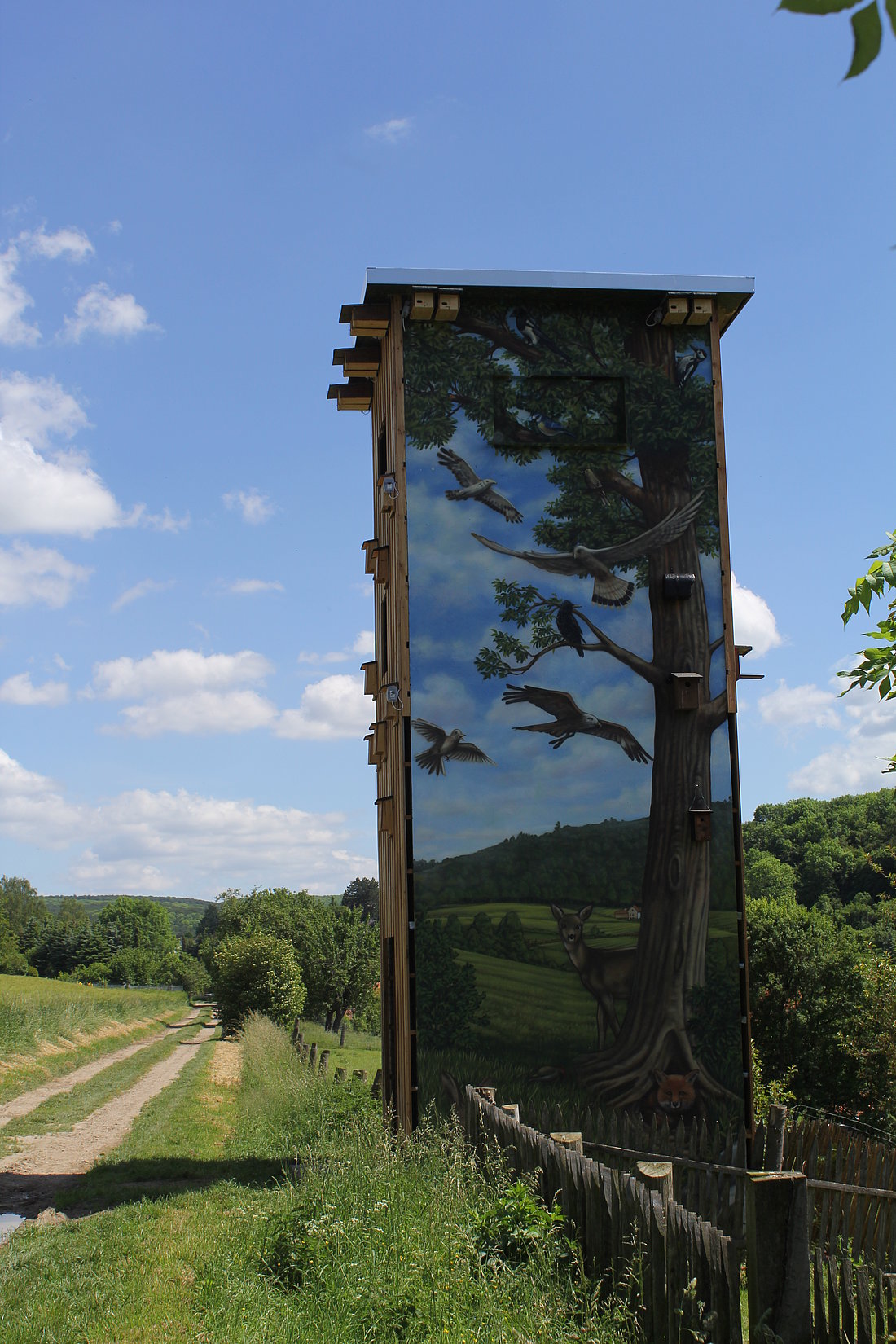 Der Entdeckerturm bei Langenholzen 