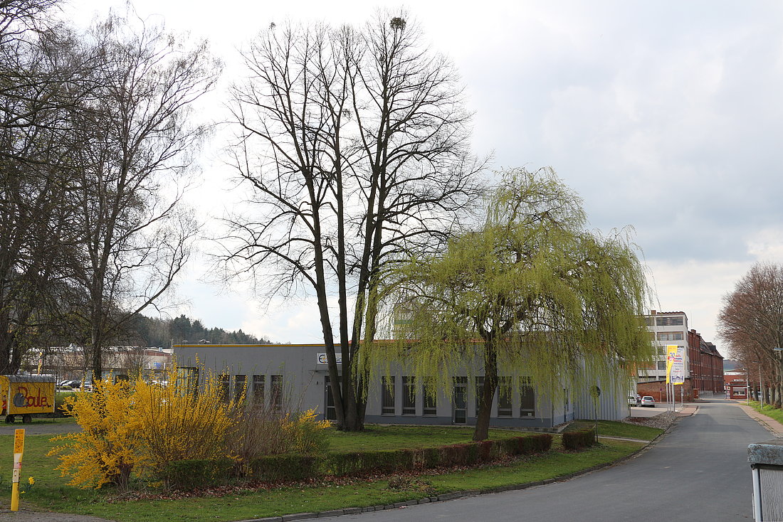 Kirche der Christen Ecclesia Alfeld © Matthias Quintel