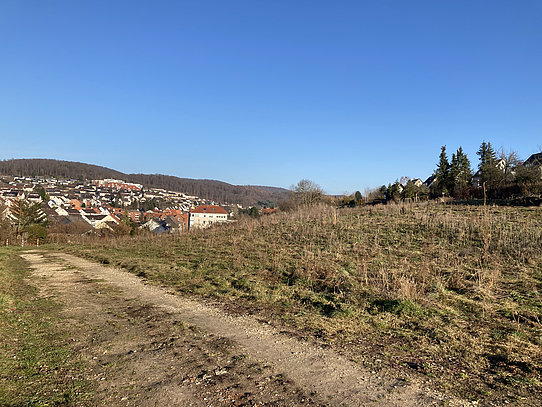 Baugebiet Königsruh 2021 © Archiv Stadt Alfeld (Leine)