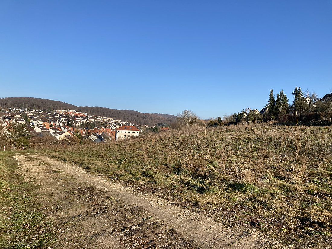 Baugebiet Königsruh 2021 © Archiv Stadt Alfeld (Leine)