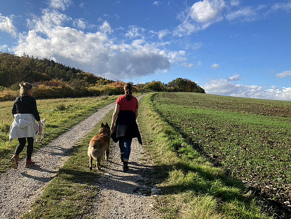 Wandern im Herbst © HG Scharf 