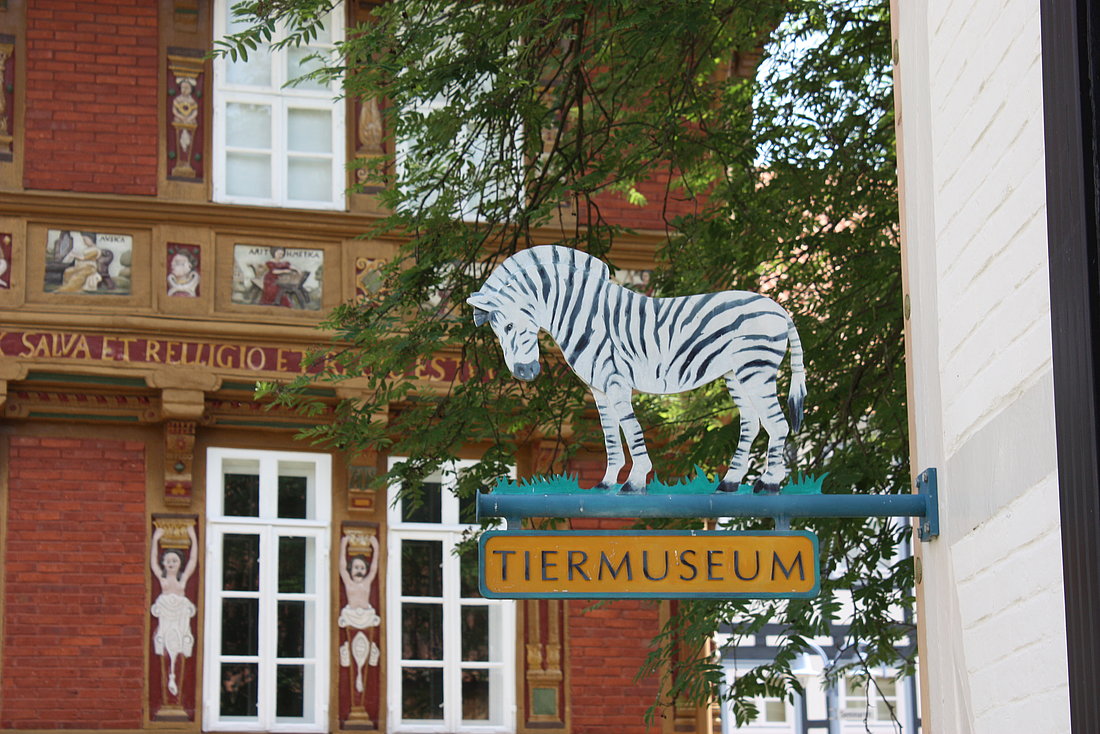 Das Tiermuseum © Archiv Stadt Alfeld