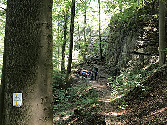 Lippoldshöhle auf dem Ith-Hils-Wanderweg © Hg Scharf