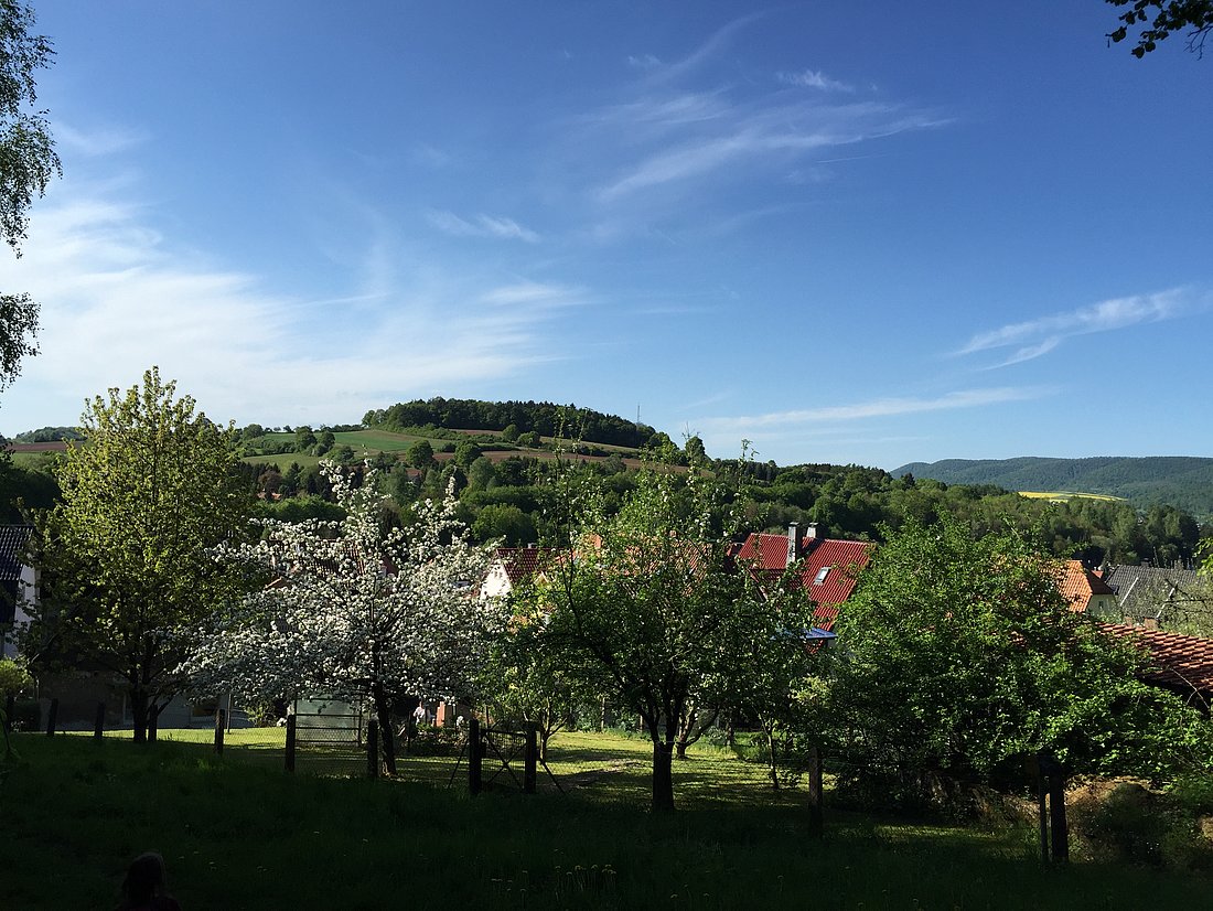 Blick vom Schlehberg zum Wahrberg © HG Scharf