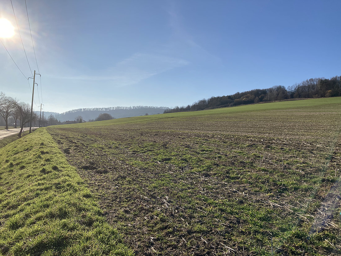 Baugebiet Wispenstein 2021 © Archiv Stadt Alfeld (Leine)