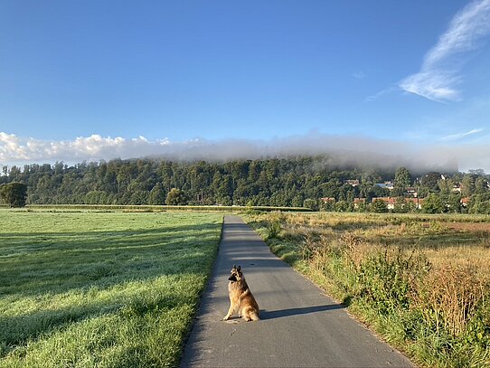 Blick auf dem Schlehberg, Leine-Heide-Radweg bei Alfeld Mountainbikereifen © HG Scharf