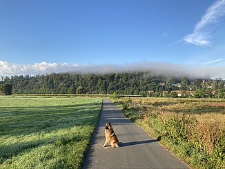 Blick auf dem Schlehberg, Leine-Heide-Radweg bei Alfeld Mountainbikereifen © HG Scharf
