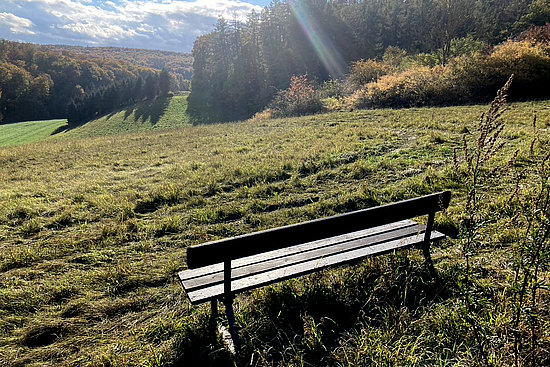 Eine Bank steht in einer sonnendurchfluteten Landschaft © HG Scharf