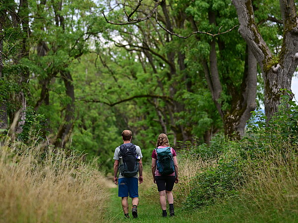 Wandern im Leinebergland Wandern im Leinebergland